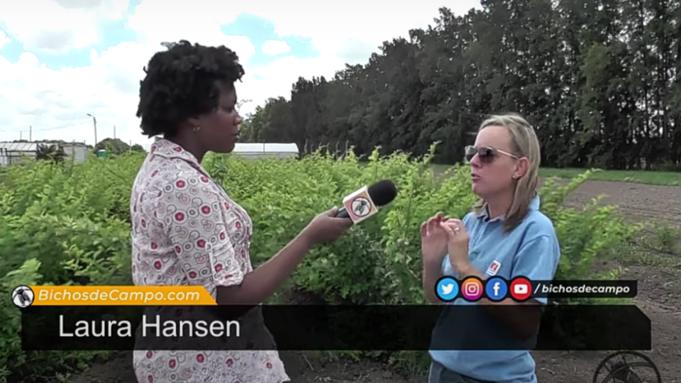 Laura Hansen: "En los últimos 20 años San Pedro se convirtió en tierra de viveros" Laura Hansen: "En los últimos 20 años San Pedro se convirtió en tierra de viveros"