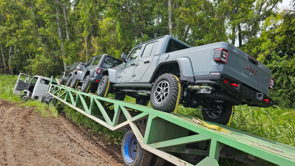 Camión cargado con vehículos importados cayó a una zanja 