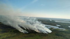 Por-los-incendios-en-las-islas-del-Delta-en-2022-la-Justicia-dicto-falta-de-merito