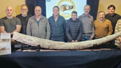 Hallazgo-historico-descubren-la-defensa-de-mastodonte-mas-grande-de-Sudamerica